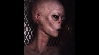alien-abduction2.jpg